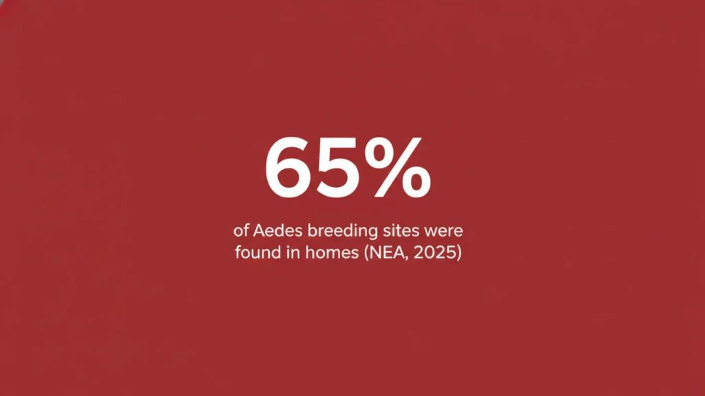 Mosquito Prevention Singapore: The NEA Home Checklist